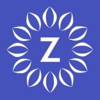 Zulily review